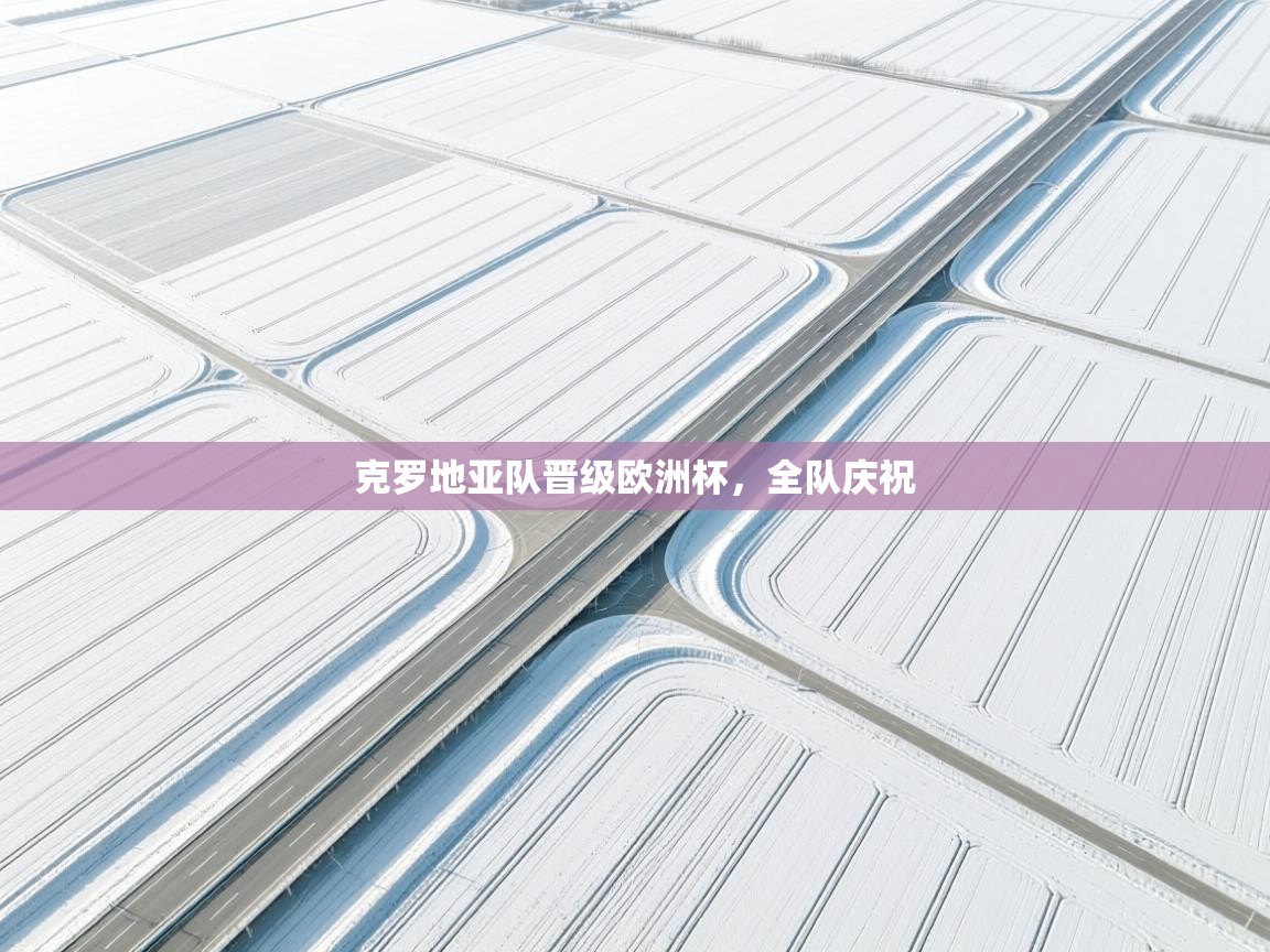 克罗地亚队晋级欧洲杯，全队庆祝